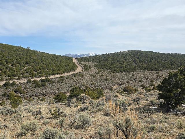 Land for sale in Fort Garland, Colorado