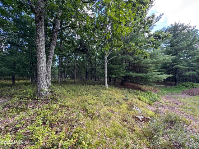 Land for sale in Fawn Lake Forest, Lackawaxen Township