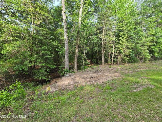 Land for sale in Vass, North Carolina