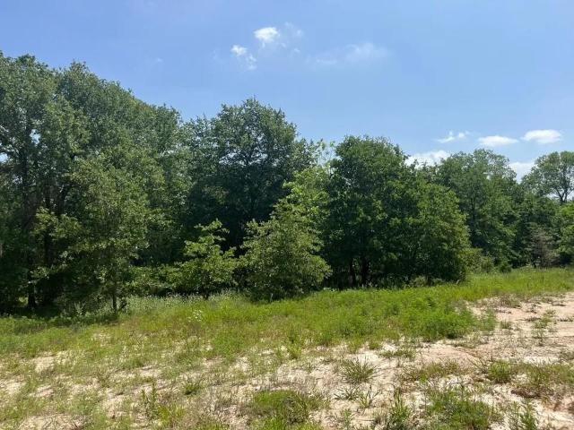 Land for sale in Parker, Texas