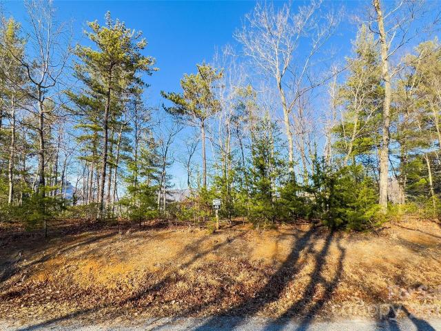 Land for sale in Marion, North Carolina
