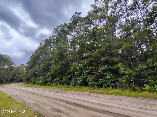 Land for sale in Clarendon, North Carolina