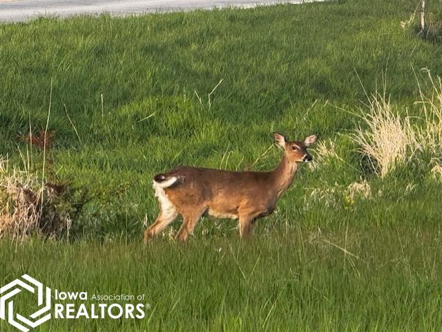 Land for sale in Moravia, Iowa