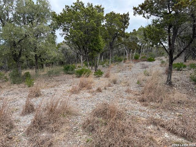 Land for sale in Medina, Texas