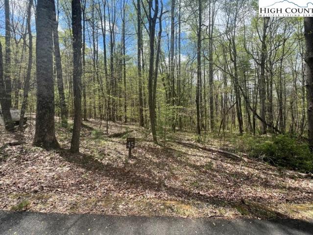 Land for sale in Lansing, North Carolina