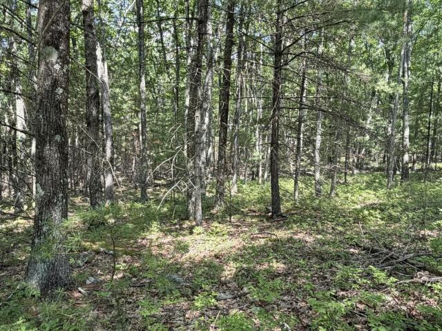 Land for sale in Greentown, Pennsylvania