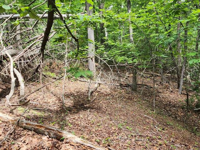 Land for sale in Virginia