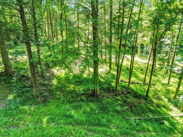 Land for sale in Adolphus, Kentucky