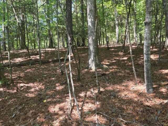 Land for sale in Carthage, North Carolina