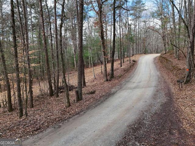 Land for sale in Georgia