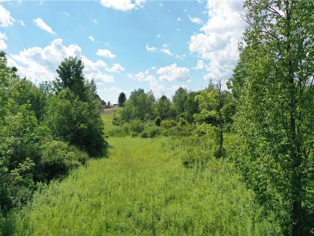 Land for sale in Fabius, New York
