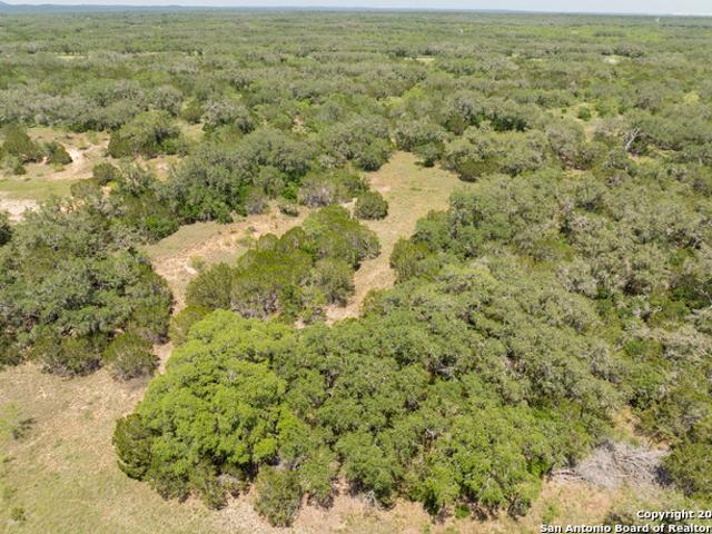 Land for sale in D Hanis, Texas