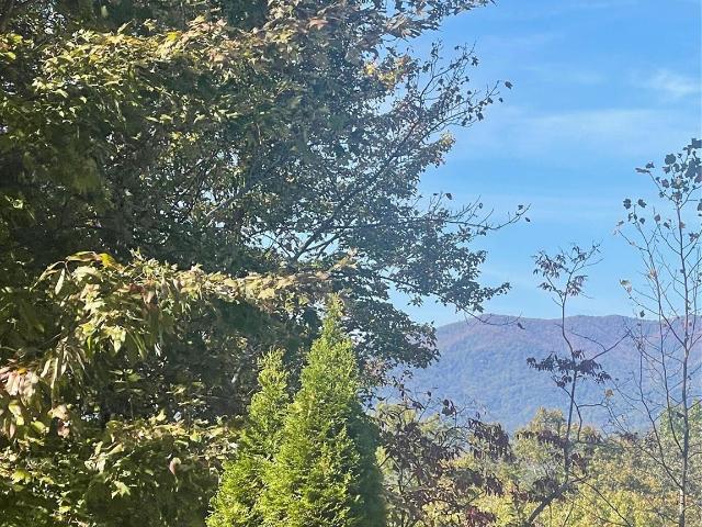 Land for sale in Marion, North Carolina