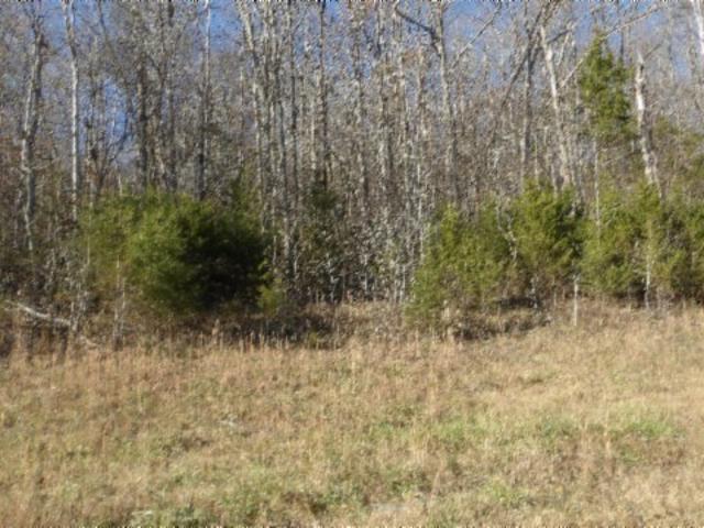 Land for sale in Tennessee