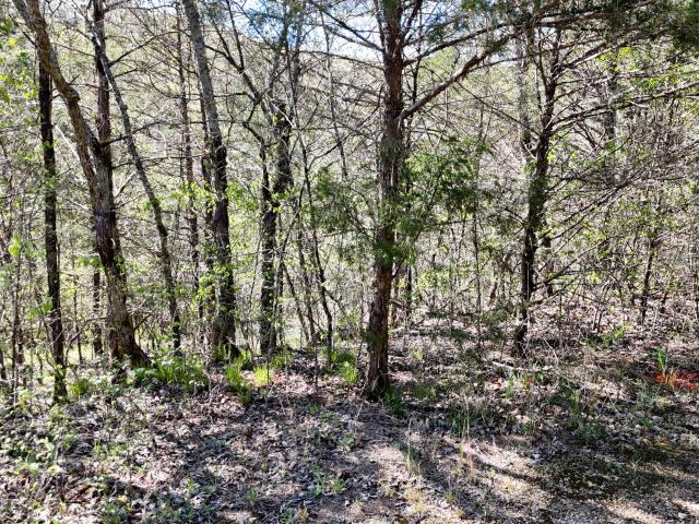 Land for sale in Barry, Missouri