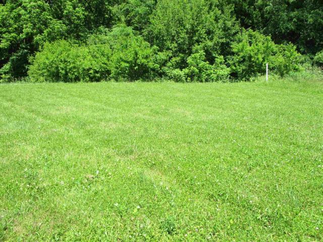 Land for sale in Wisconsin