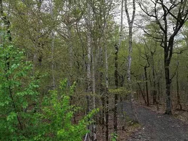 House for sale in Walden, Nova Scotia