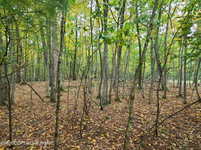 Land for sale in Middle Smithfield Township, Monroe County