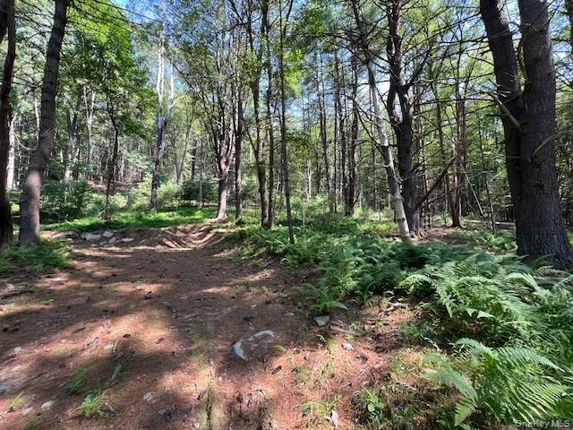 Land for sale in Glen Spey, New York