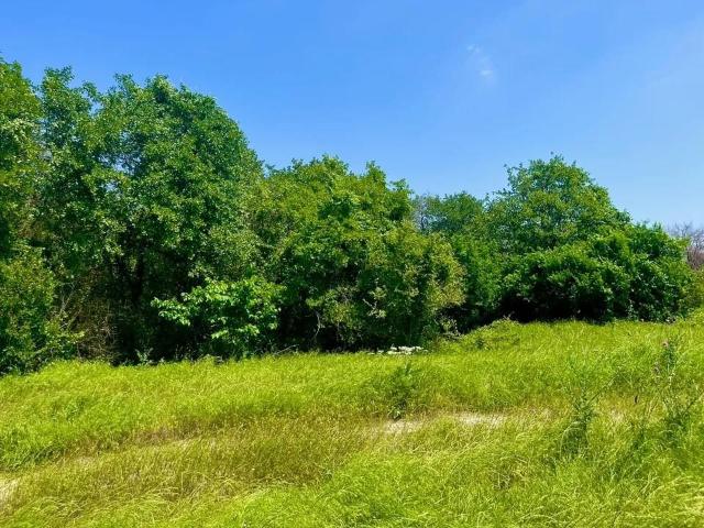 Land for sale in Parker, Texas