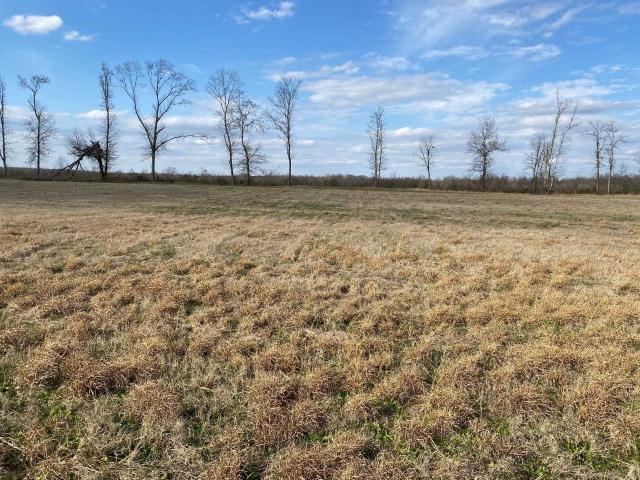 Land for sale in Tennessee