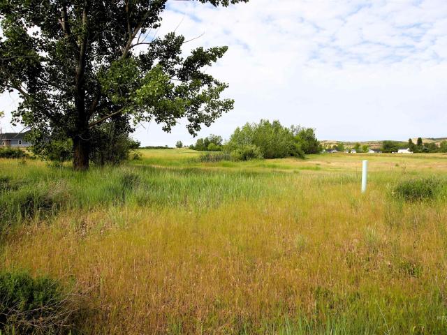 Land for sale in Council, Idaho