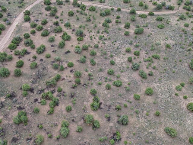 Land for sale in Catron, New Mexico