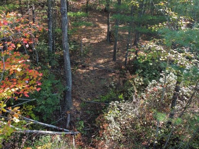 Land for sale in Wolfe, Kentucky