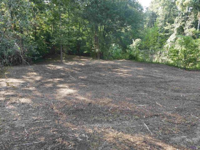Land for sale in Jackson, Louisiana
