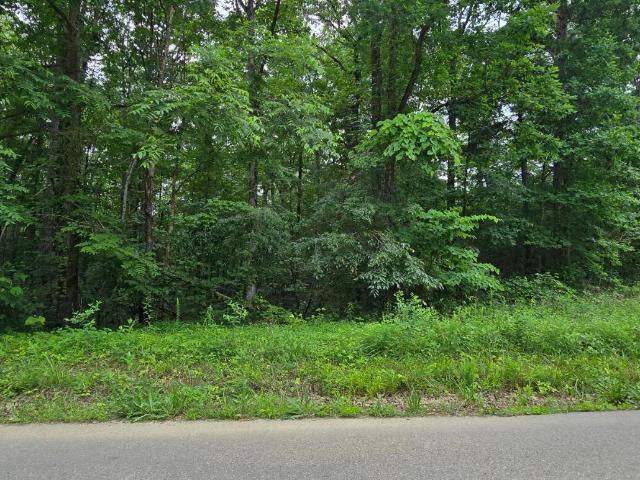 Land for sale in Tennessee