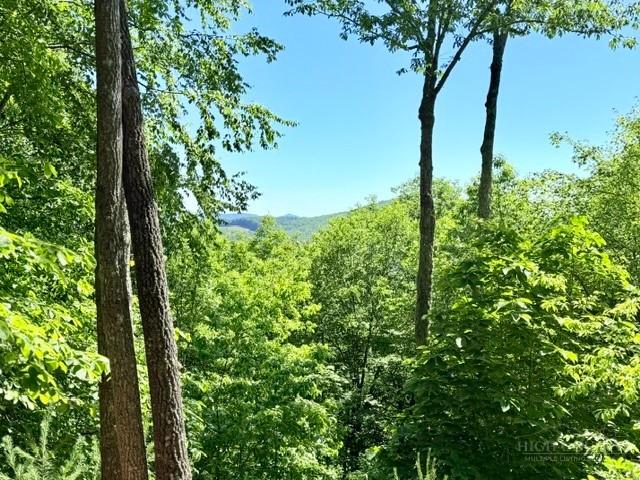 Land for sale in West Jefferson, Ashe County