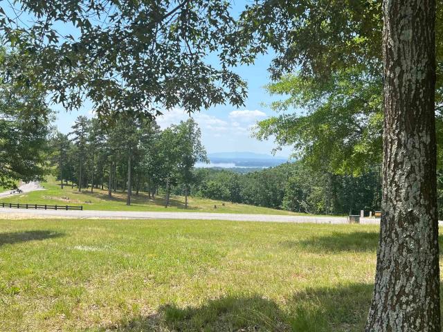 Land for sale in Cedar Bluff, Alabama
