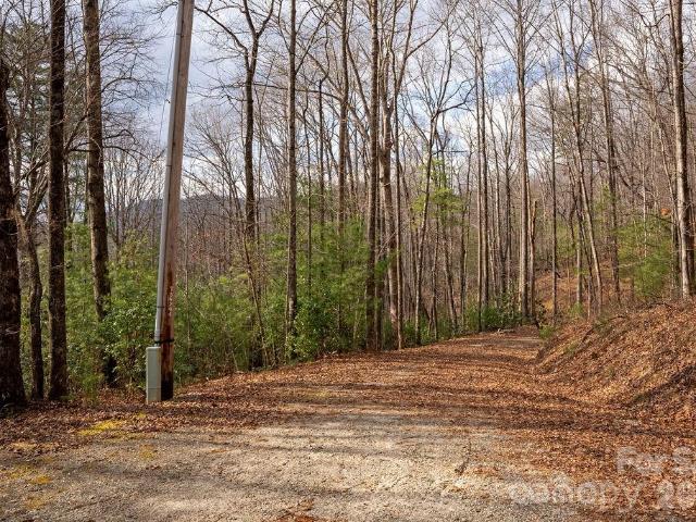 Land for sale in Transylvania, North Carolina