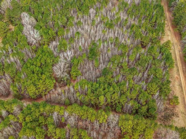 Land for sale in Ark