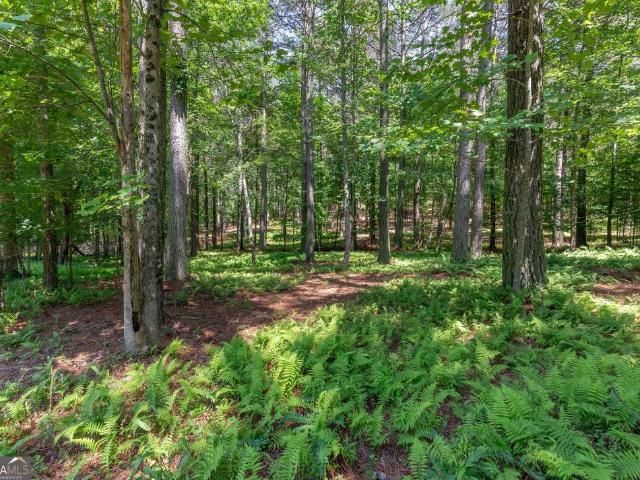 Land for sale in Blairsville, Georgia