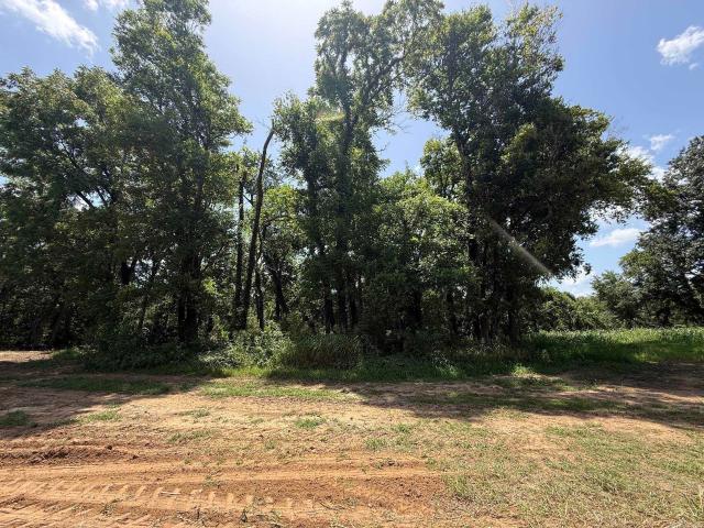 Land for sale in Ark