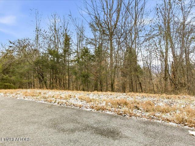 Land for sale in Tennessee