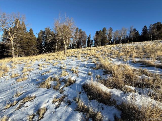 Land for sale in Fort Garland, Colorado