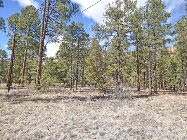 Land for sale in Jemez Springs, New Mexico