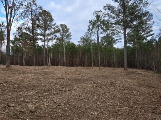 Land for sale in Alabama