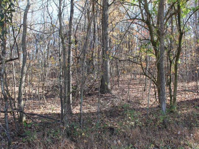 Land for sale in Eddyville, Kentucky