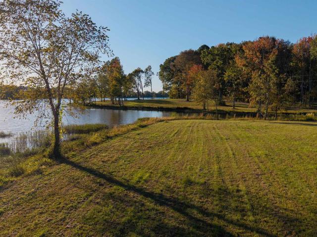 Land for sale in Cedar Bluff, Alabama