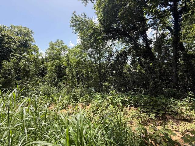 Land for sale in Ark