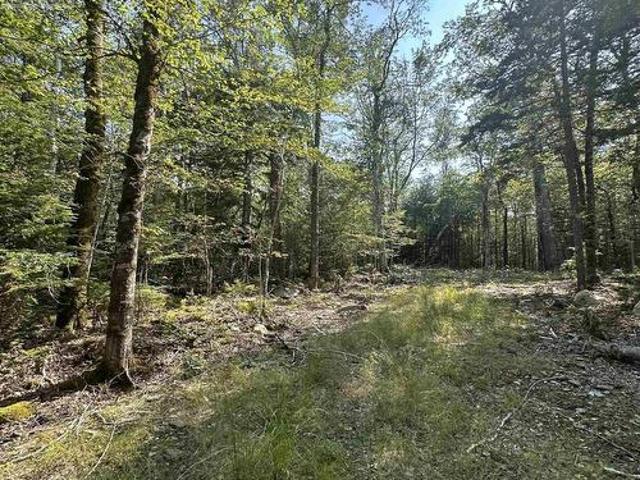 Land for sale in Labelle, Nova Scotia