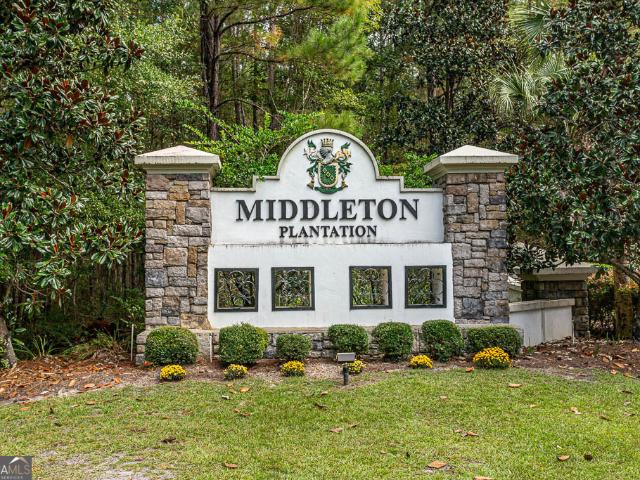 Land for sale in Georgia