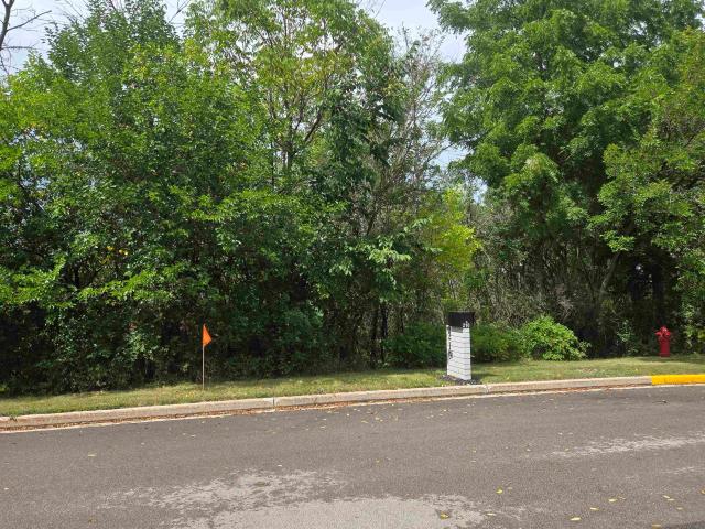 Land for sale in Mayville, Dodge County