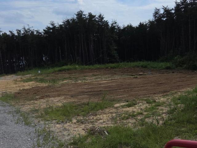 Land for sale in Dunlap, Middle Tennessee