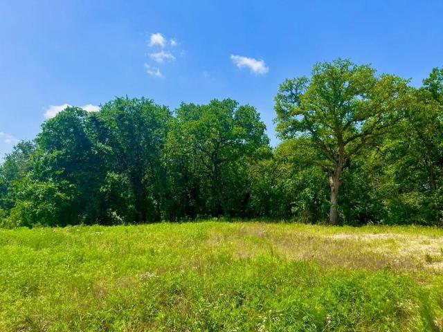 Land for sale in Parker, Texas