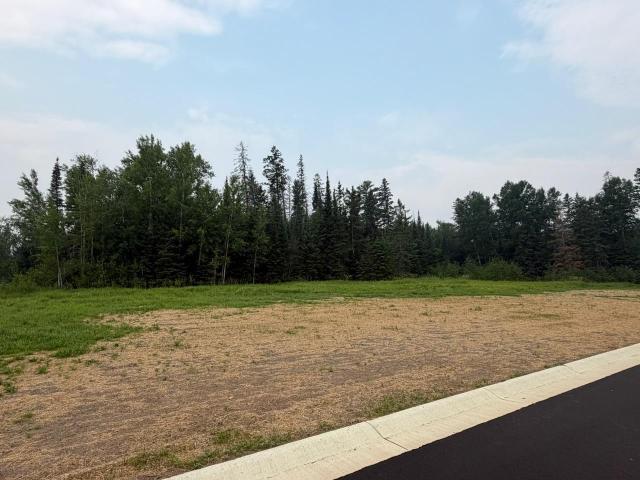 Land for sale in Cook, Minnesota