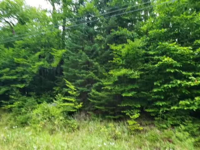 House for sale in Bangor House for sale in Bangor